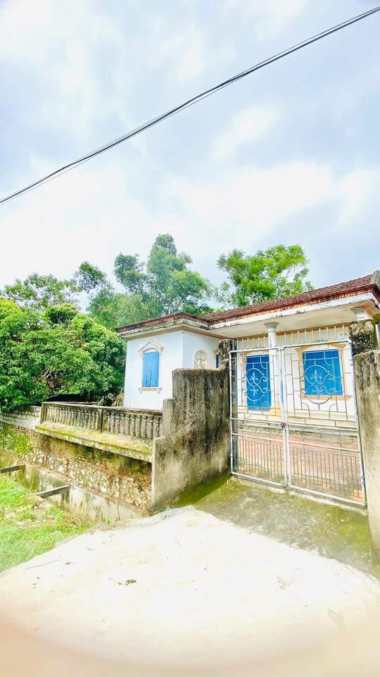 Siêu phẩm đất vàng Yên Định, Thanh Hóa mặt tiền 15m, 750m2 sổ sẵn, tặng ngay vàng