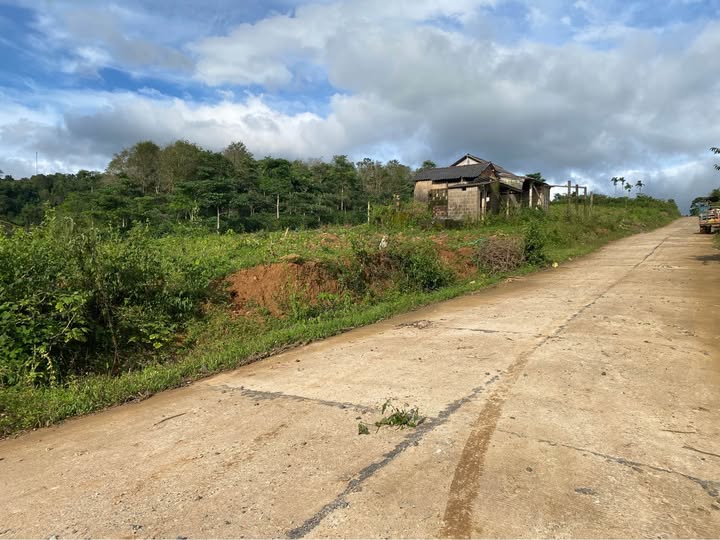 1ha đất rẫy xịn sò tại Quảng Trị bằng phẳng, có nhà, mặt tiền đường bê tông, chốt ngay kẻo lỡ