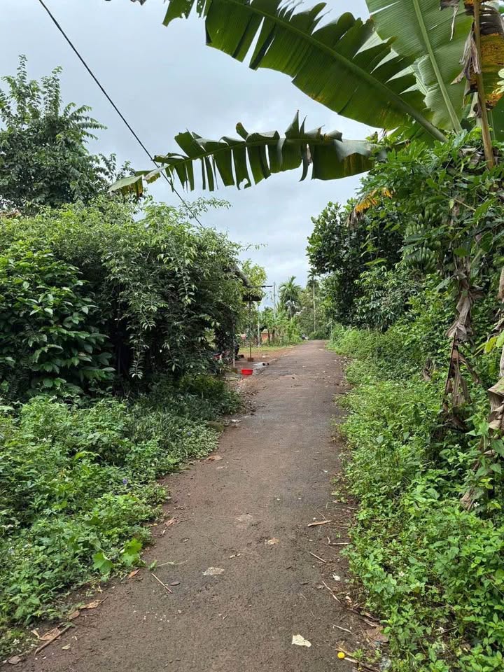 Nhà vườn xinh xắn, 5m mặt tiền, sát hồ, đầu tư bao lời