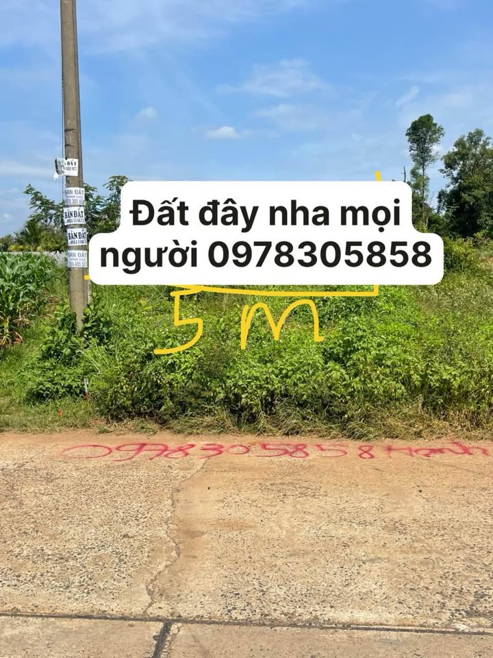 Đất Eakao 5x50m, 1.25 tỷ - Mở lối kinh doanh, xây nhà mơ ước