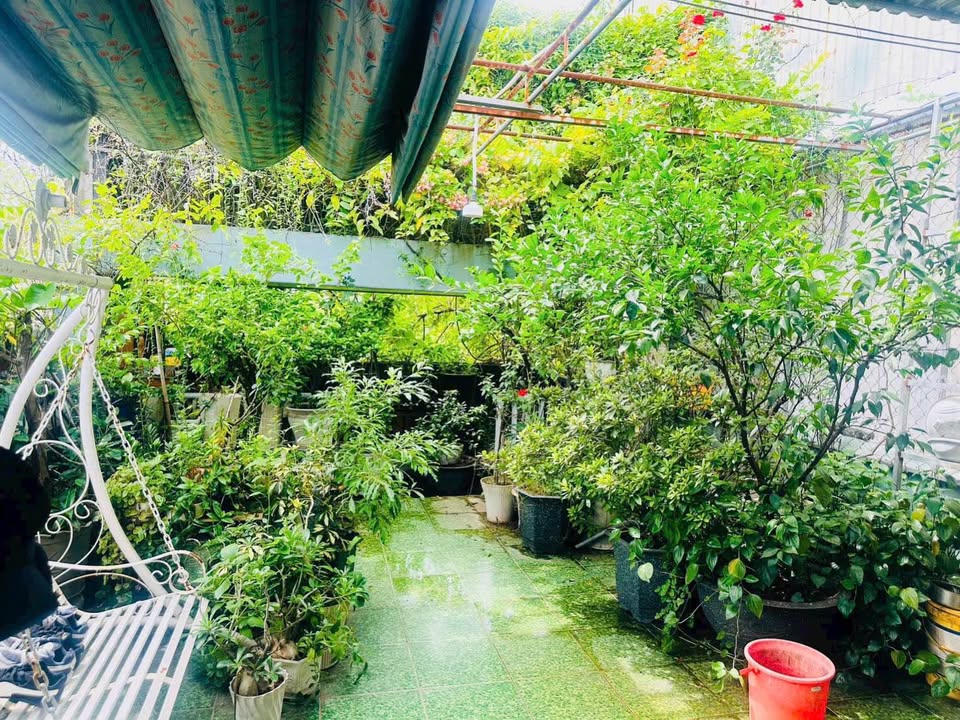 Đất vàng Đà Nẵng mặt tiền 5,5m trung tâm, kinh doanh đa ngành, giá 5.85 tỷ