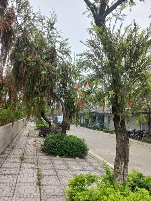 Biệt thự liền kề Lê Trọng Tấn, Hà Đông - 60m² x 4 tầng, 3 ô tô tránh