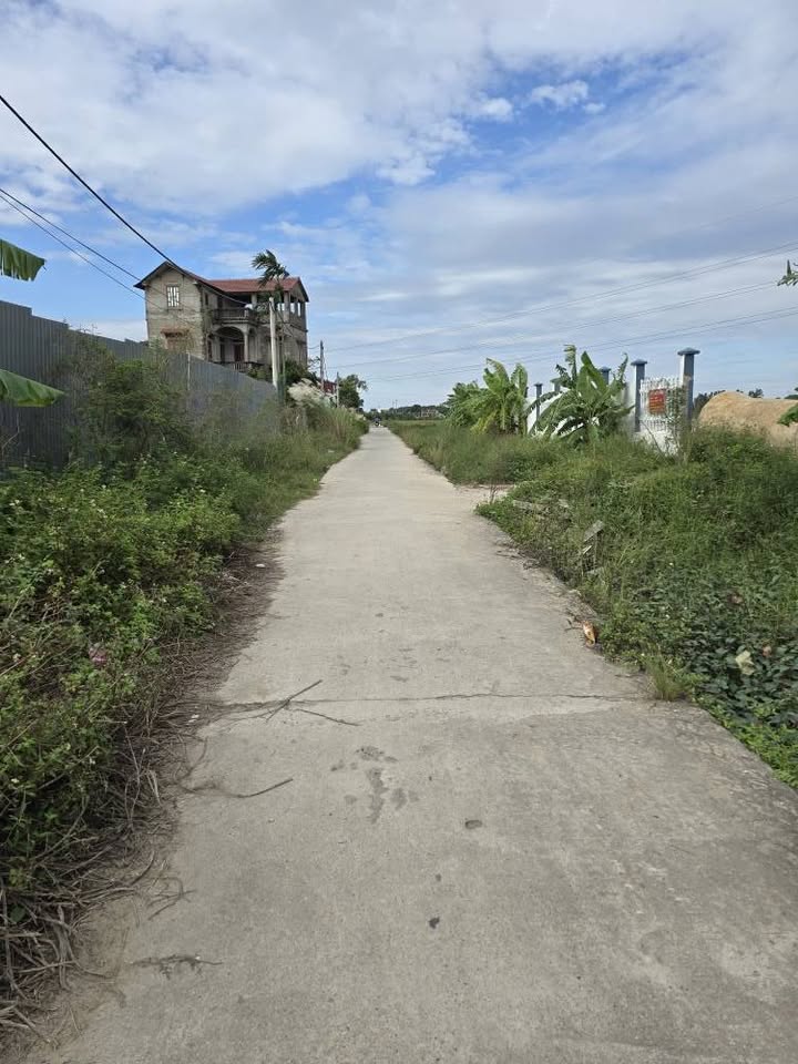 Bán đất An Bình, Thuận Thành, Bắc Ninh 87m² vuông vắn, tiềm năng tăng trưởng cao