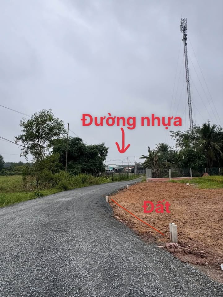 Đất vàng Dương Minh Châu, sổ đỏ sẵn sàng, giá hời