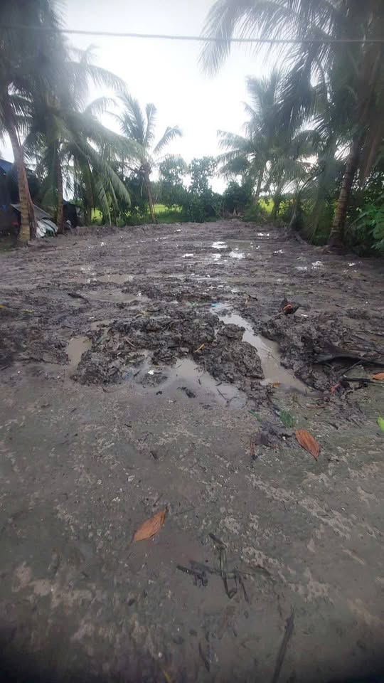 Bán nền Vị Thanh, Cần Thơ 8m x 90m, giá 285 triệu