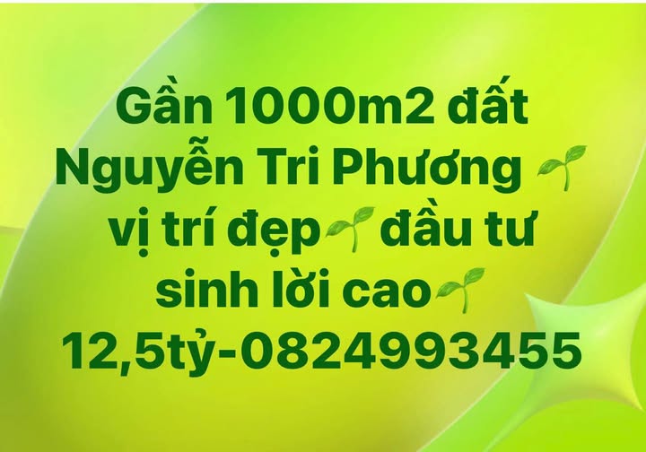 Đất vàng Nguyễn Tri Phương tiềm năng sinh lời vượt trội