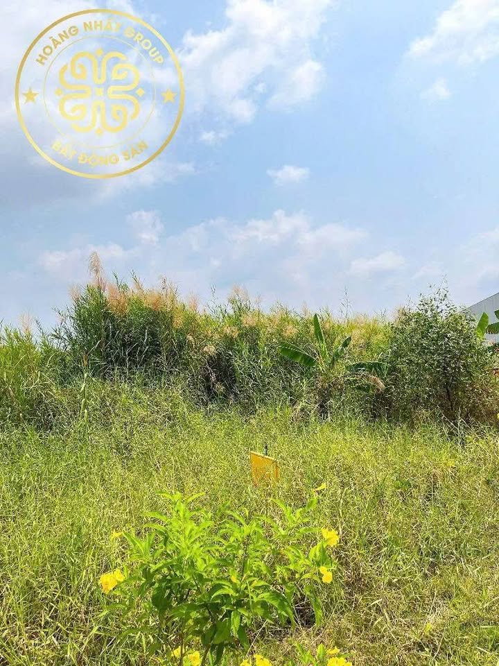 Cơ hội sở hữu ngay lô đất mặt tiền cực rộng tại Ấp Thạnh Điền, Lý Văn Lâm, Cà Mau