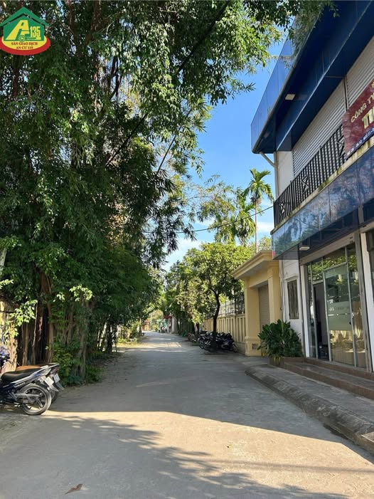 Bán đất Ninh Sơn, ngõ 51 Phạm Thận Duật, mặt tiền 5m, hướng Nam, đường 6m