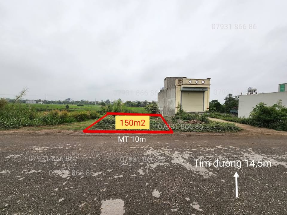 Bán lô góc 150m2 đất tại khu vực Hòa Bình, Vũ Thư, Thái Bình