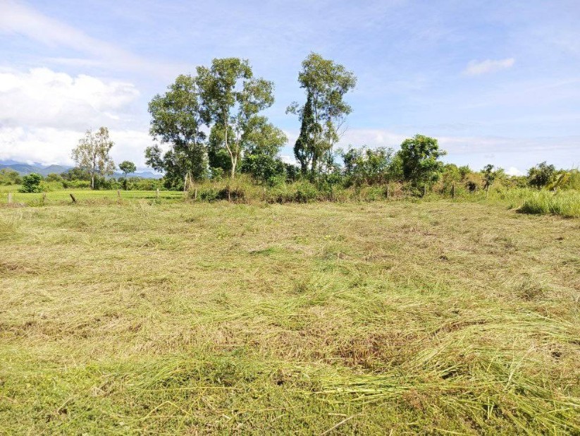 Siêu phẩm đất vườn cây trồng lâu năm đã sẵn sàng chờ chủ nhân mới