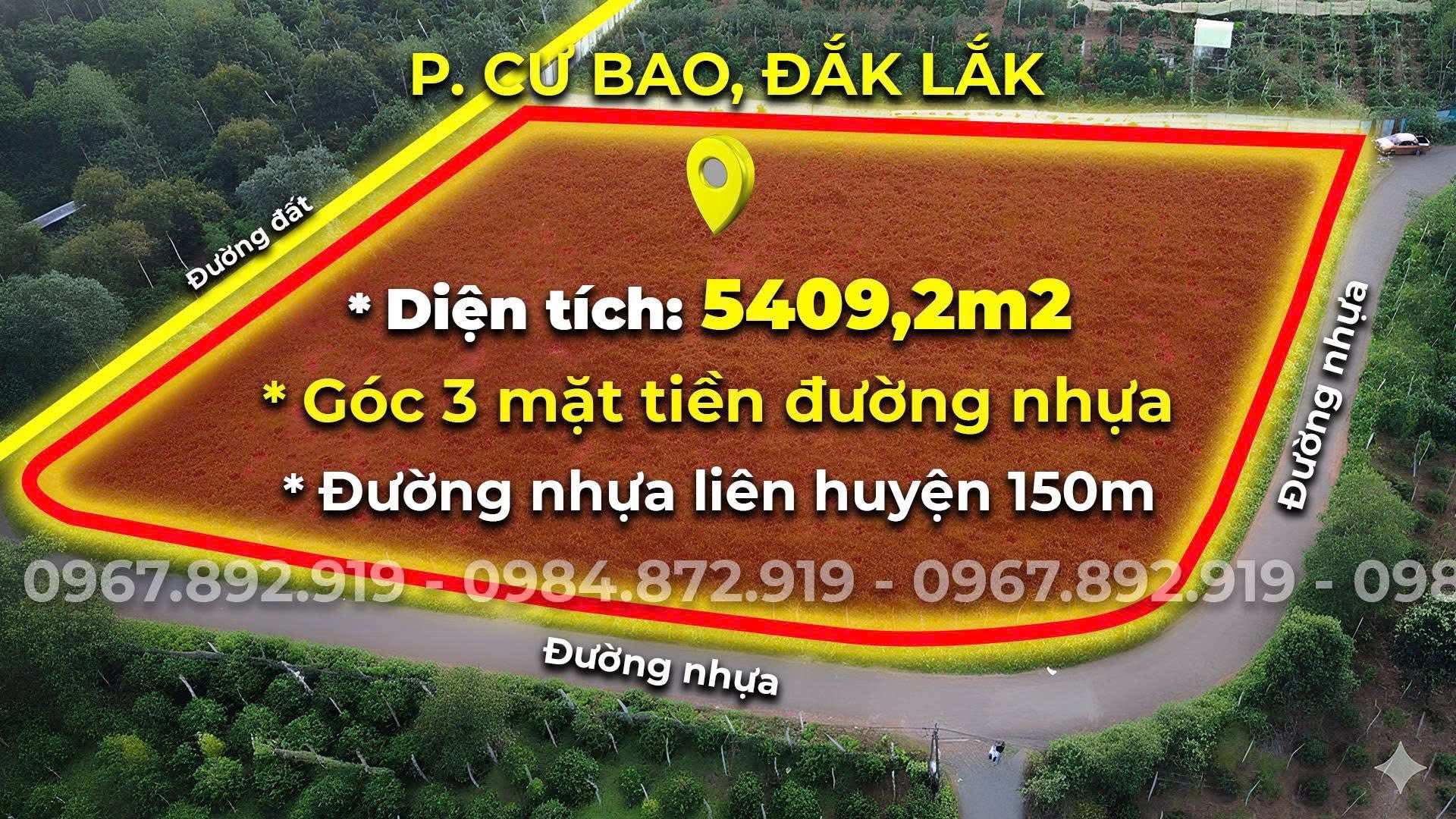 Bán đất vườn cà phê 5409m2 mặt tiền đường nhựa 150m tại Cư Bao, Đắk Lắk