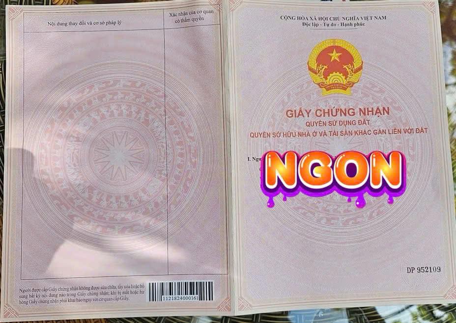 Đất kinh doanh xịn sò sát khu công nghiệp giá hời