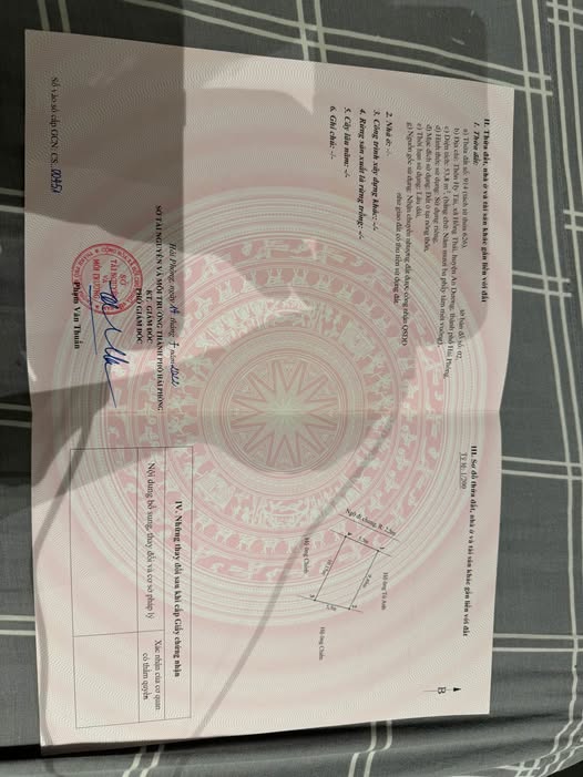 Bán đất chính chủ tại Hy Tái, Hồng Thái, An Dương, Hải Phòng