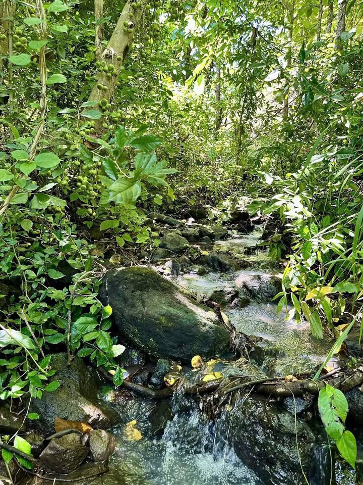 Đất vườn view hồ Trị An Như Đà Lạt - Chỉ 850 triệu, sổ riêng