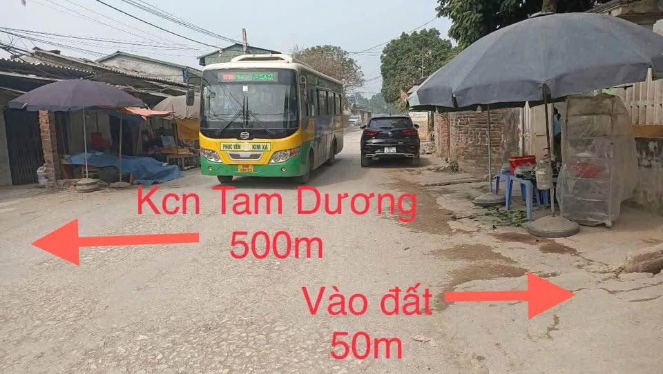 Đất 2 mặt tiền sát KCN Tam Dương, Vĩnh Phúc - Đầu tư sinh lời