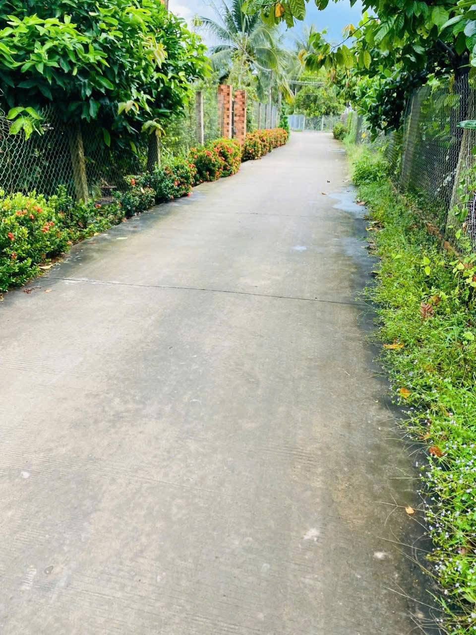 Bán đất thổ cư diện tích 560m2 tại xã Phú Túc, Bến Tre