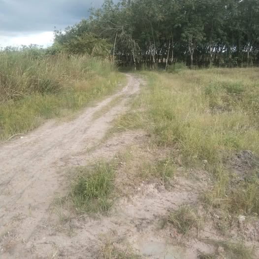 Bán 16 lô đất mặt tiền 200m2, vị trí đắc địa tại Tân Biên, Tây Ninh