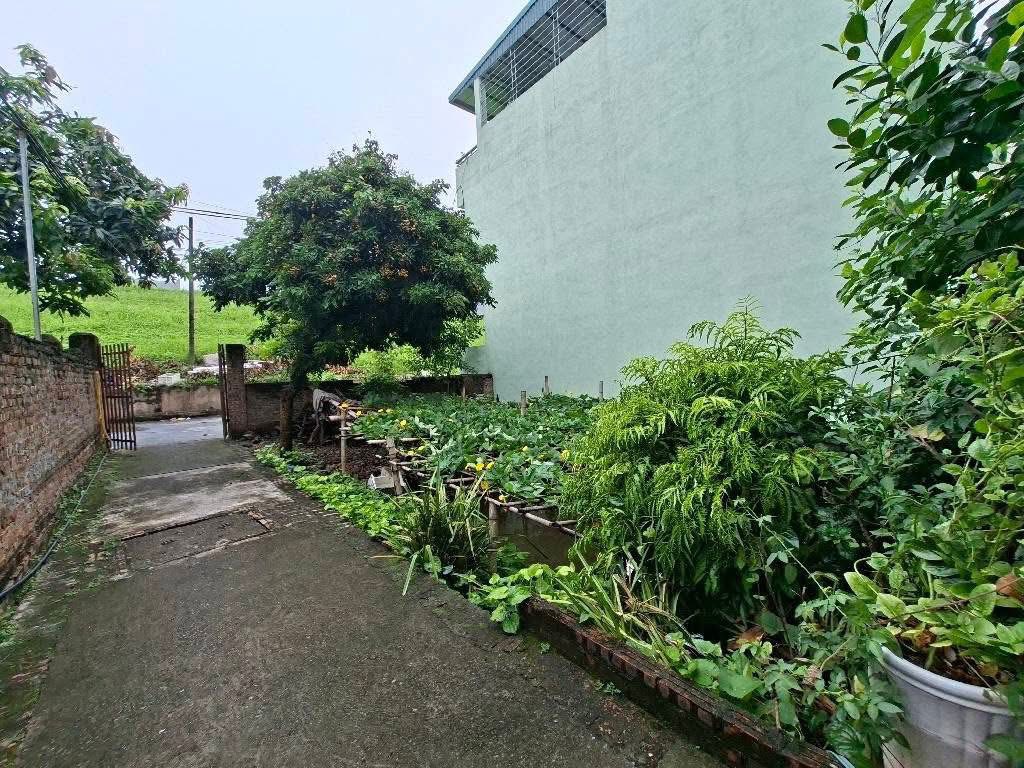 Đất F0 cực hot Đông Dư - Bát Khối ô tô tránh, kinh doanh vô tư, giá nhỉnh 6 tỷ