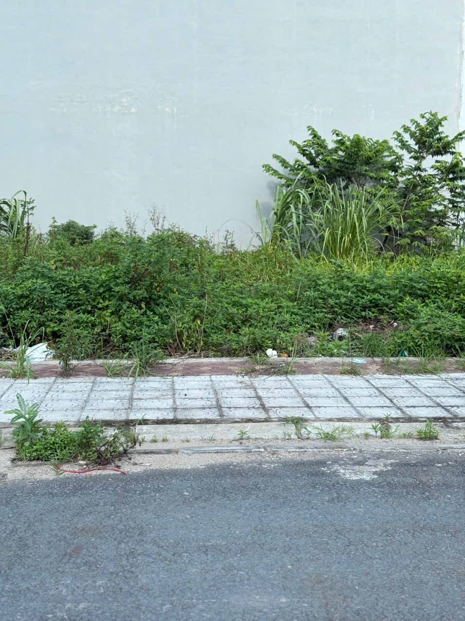 Lô đất vàng 3,74ha Di Trạch, Hoài Đức, cơ hội đầu tư sinh lời không thể bỏ lỡ