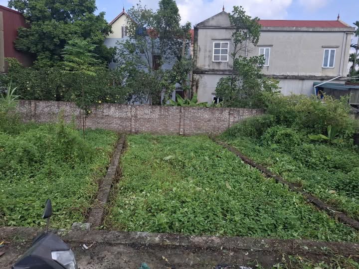 Bán đất Chương Dương, Thường Tín 51,8m2, mặt tiền 4,8m, tiềm năng đầu tư