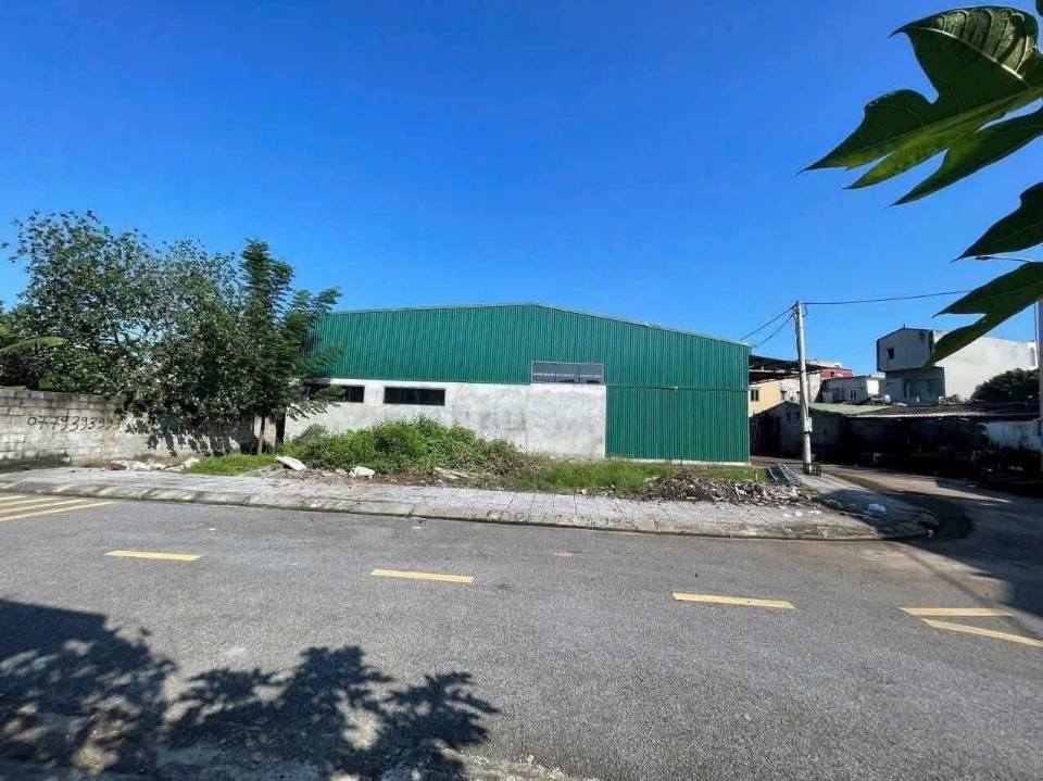 Đất đấu giá Thanh Sơn, ô góc 160m², vỉa hè, đường thông, giá hời