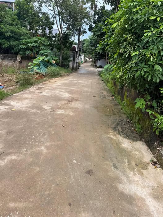 Bán 3 lô đất liền kề đẹp tại Phường Kỳ Lừa, Lạng Sơn