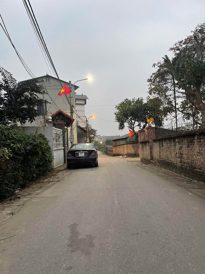 Mảnh đất Lai Sơn xưa, ươm mầm tương lai