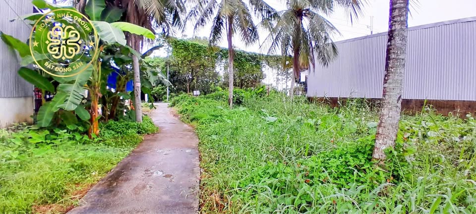 Bán đất mặt tiền đường Lý Văn Lâm, Cà Mau - 680m², hướng Tây, giá tốt