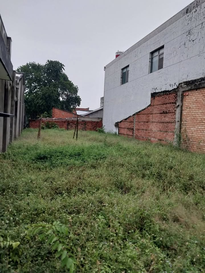 Mảnh đất vàng mặt tiền Quốc lộ 22 - Gò Dầu, Tây Ninh