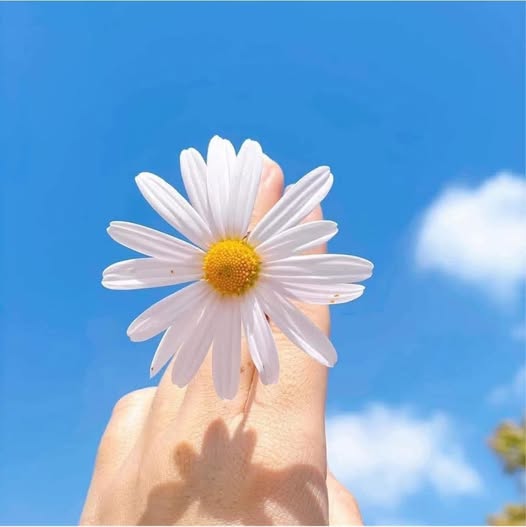 Đất Vũng Tàu 100m2 ngõ ô tô thông thoáng, xây 4 tầng vi vu