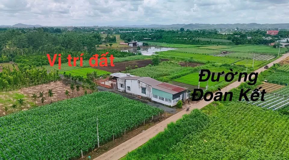 Đất sào Hòa Khánh 1.2 tỷ bán nhanh, gần chợ, đường rộng thoải mái