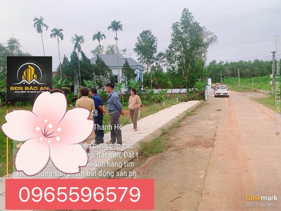 Bán gấp 2 lô đất vàng Triệu Sơn, sẵn sổ, giá hời