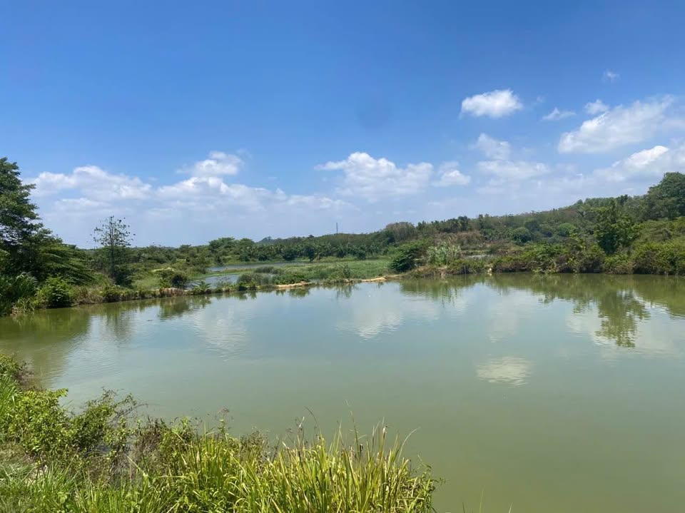 Đất nghỉ dưỡng rộng lớn tại Châu Đức - Cơ hội vàng cho nhà đầu tư