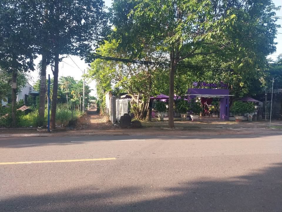 Bán đất vàng 67,5m2 trung tâm Đất Đỏ, Bà Rịa Vũng Tàu cơ hội đầu tư sinh lời khủng