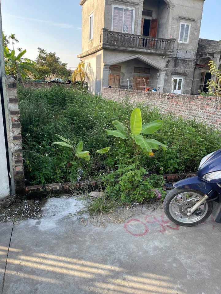 Đất Kiều Hạ 2, Hải Phòng, 66m² chỉ 800 củ, hướng Đông Nam