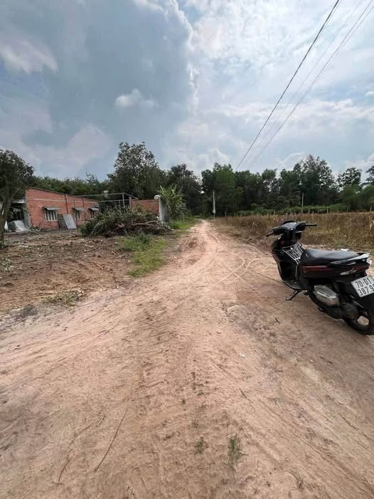 Bán đất Thanh Điền, Tây Ninh, khu dân cư đông đúc