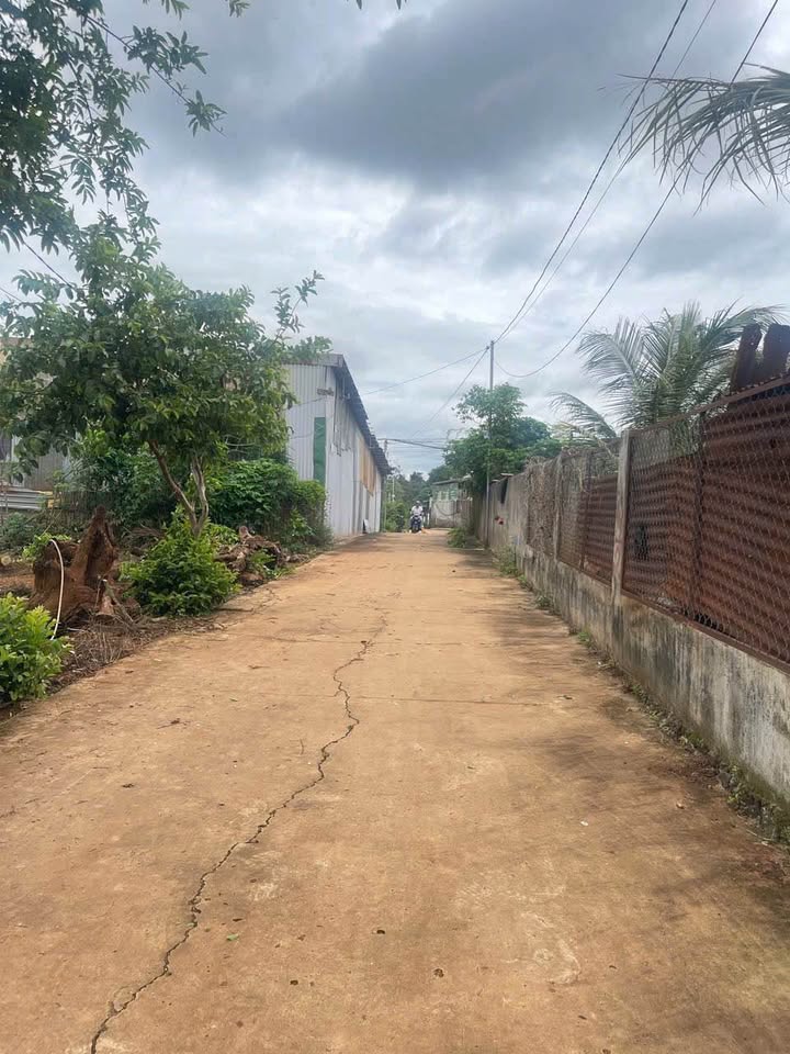 Đất vàng Buôn Ma Thuột 1,69 tỷ, hẻm rộng, hướng đông, sổ đỏ sang tên