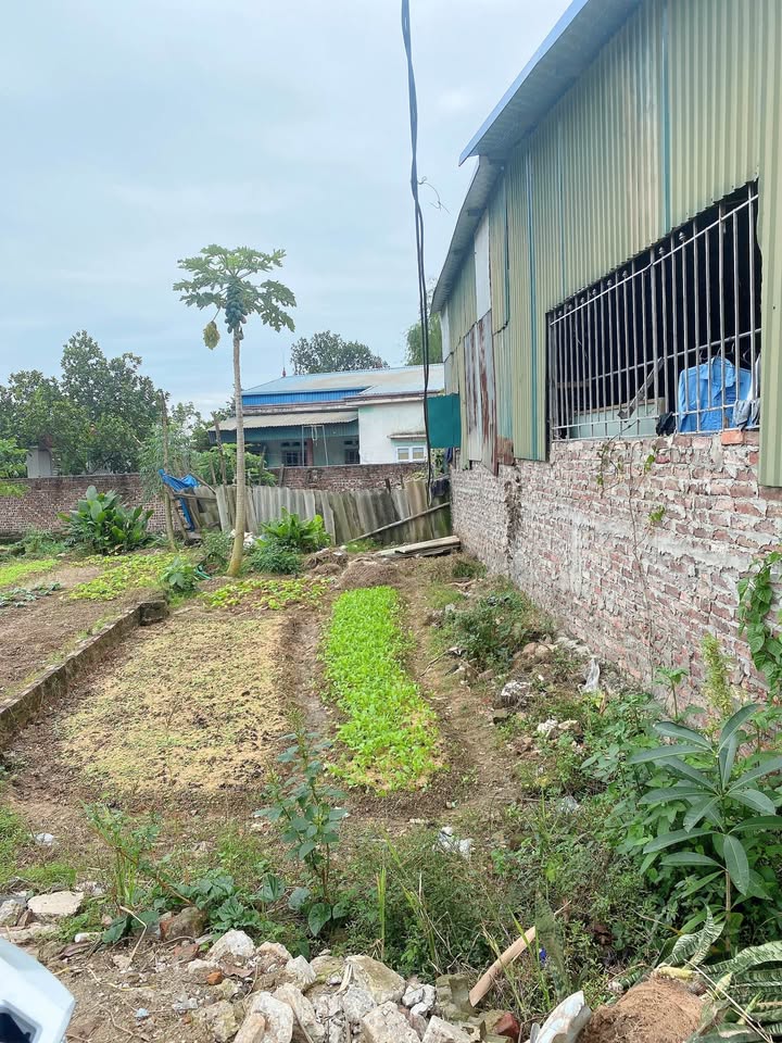 Đất Sơn Đoài 52m2, hơn tỷ, chủ gấp bán về Nam