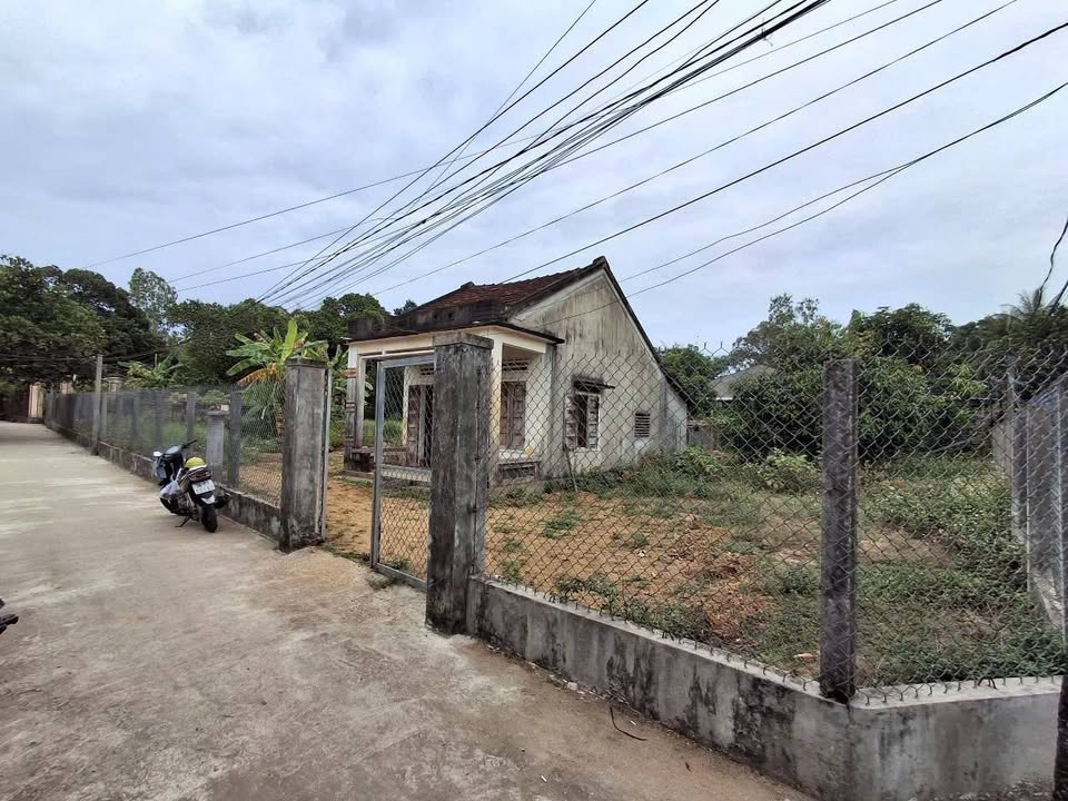 Vườn góc view sông, 1150m2, làm homestay chill chill