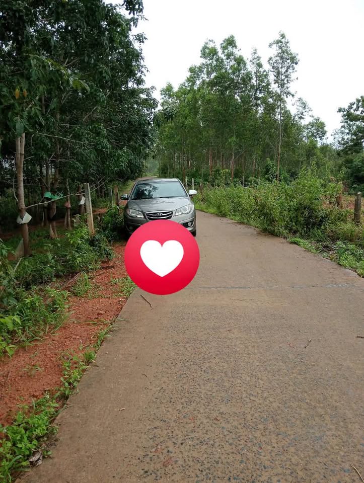 Đất 2.7ha Kon Tum, góc 2 mặt đường, đất đỏ màu mỡ, giá hời