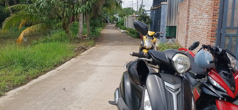 Ngôi nhà vườn an yên bên chợ Cái Tắc, Sóc Trăng