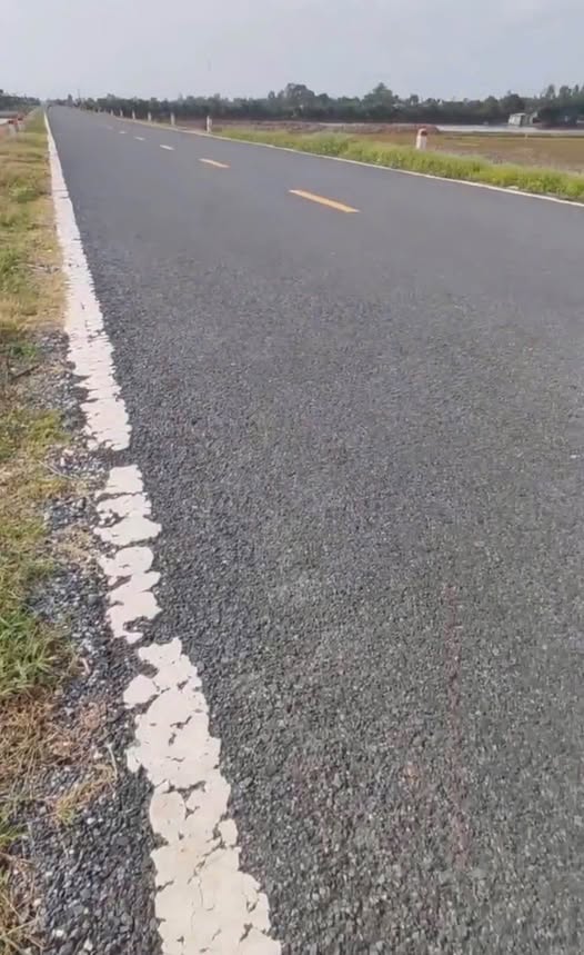 Ruộng đồng Phương Thịnh - Nơi lưu giữ hồn quê