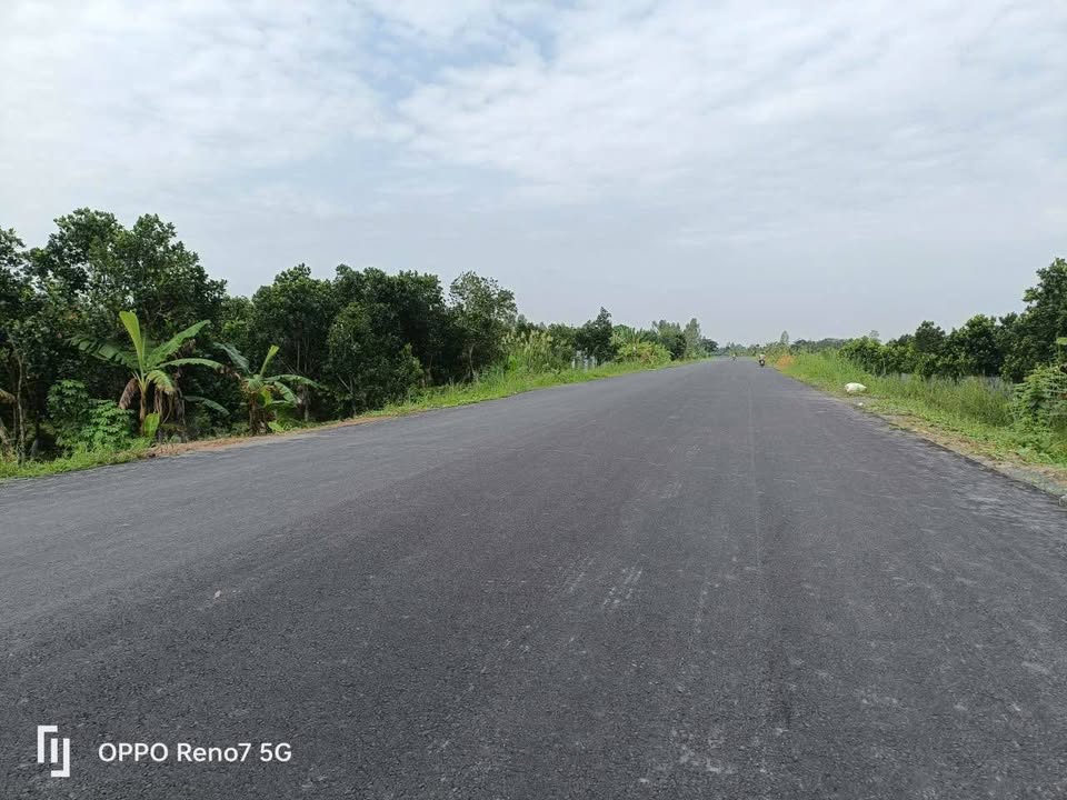 Sở hữu ngay ruộng lúa ven thành phố Cao Lãnh, mặt tiền rộng 45m