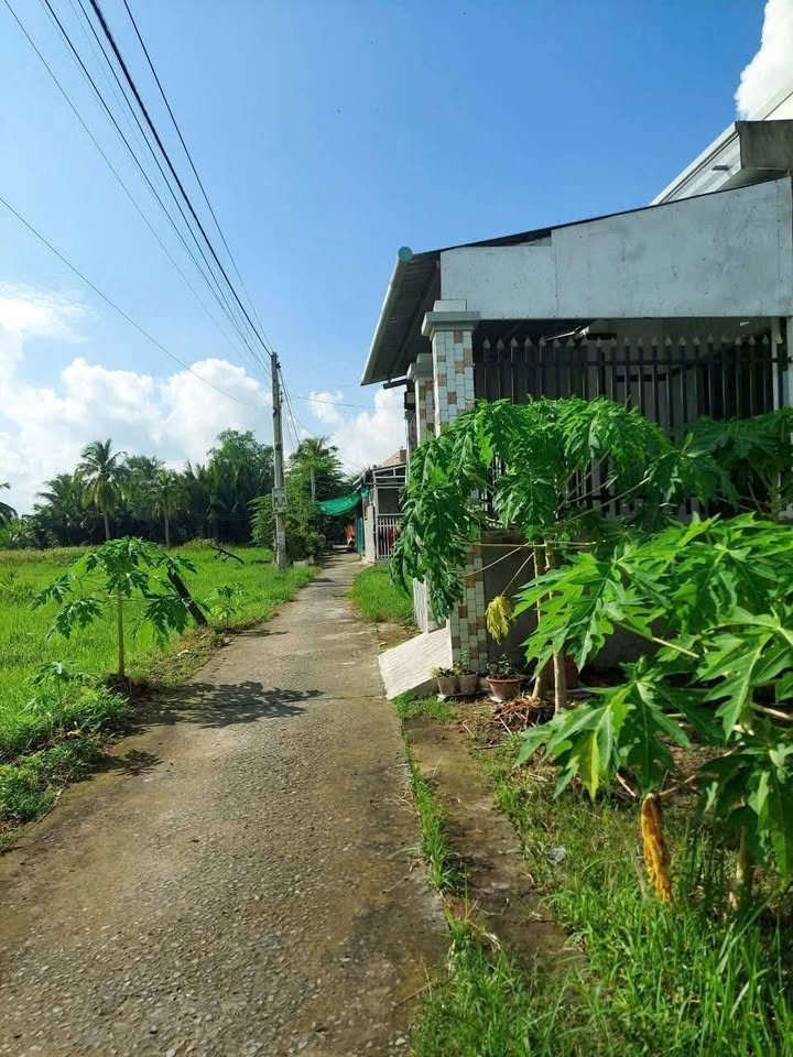 Đất xịn sò tại Phường Bến Tre, diện tích 86m2, ngang 5m, thổ cư toàn bộ