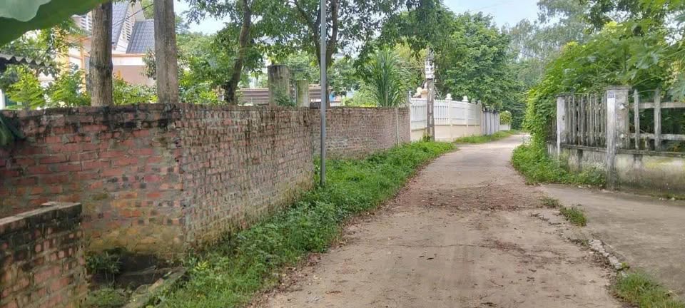 Đất 2 mặt tiền Vĩnh Phúc 600m2, 21m mặt tiền, giá hời