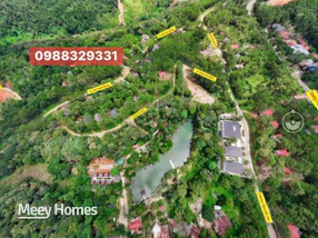 Cặp biệt thự sang trọng giữa rừng thông Măng Đen, 2000m2