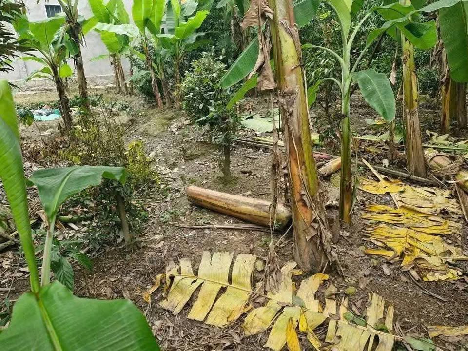 Đất nền ven sông Mỹ Hiệp giá sập sàn, chốt đơn ngay