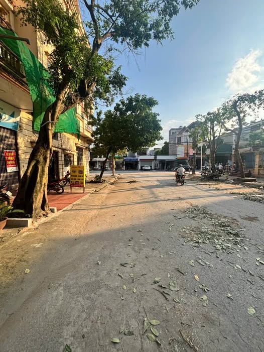 Đất Giải Phóng 250m² mặt tiền 8m đầu tư xinh xắn