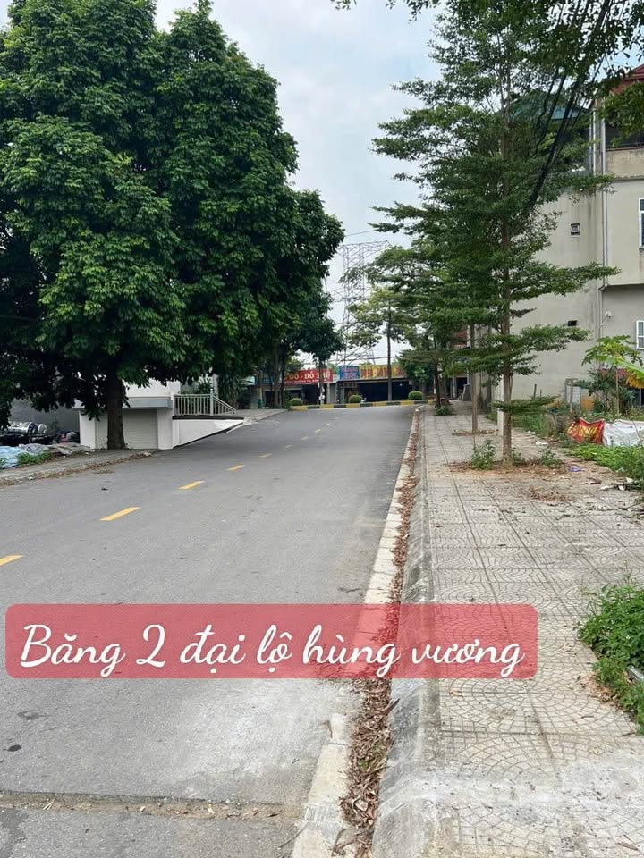 Bán đất 133m² tại Đại lộ Hùng Vương, Việt Trì, Phú Thọ