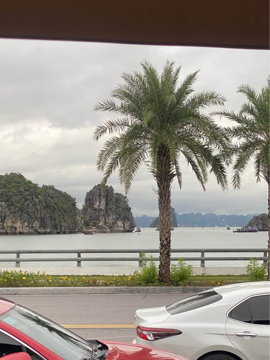 Biệt thự Monbay Hạ Long đẹp nhất dự án, gỗ xịn, thang máy, giá hời